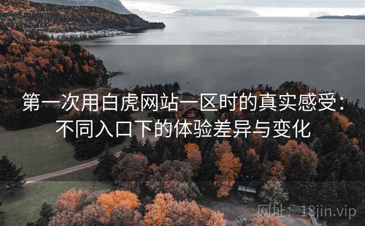 第一次用白虎网站一区时的真实感受：不同入口下的体验差异与变化