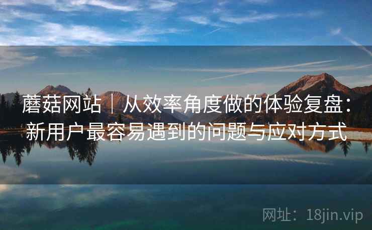 蘑菇网站｜从效率角度做的体验复盘：新用户最容易遇到的问题与应对方式