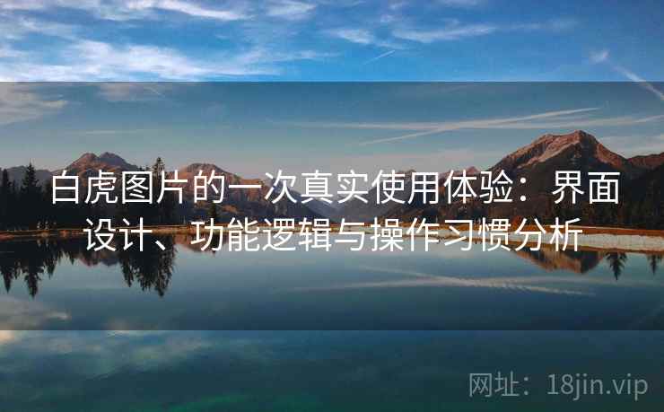 白虎图片的一次真实使用体验：界面设计、功能逻辑与操作习惯分析