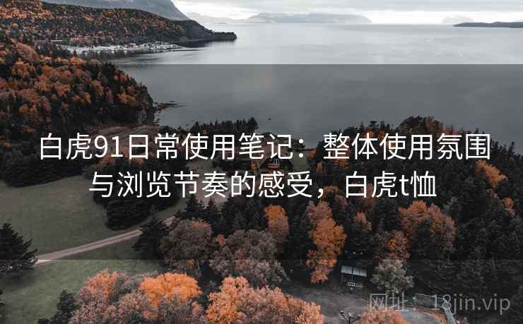 白虎91日常使用笔记:整体使用氛围与浏览节奏的感受,白虎t恤