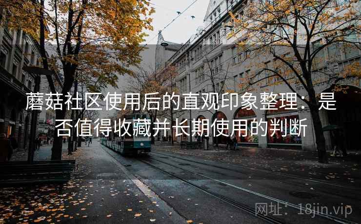 蘑菇社区使用后的直观印象整理:是否值得收藏并长期使用的判断