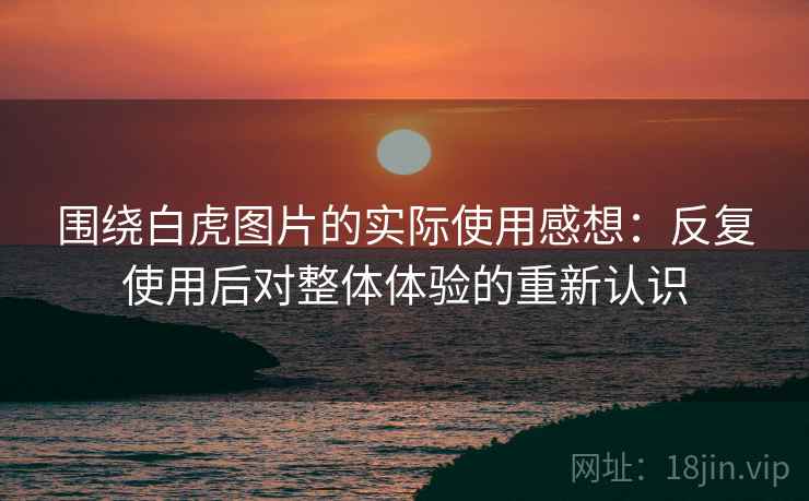 围绕白虎图片的实际使用感想:反复使用后对整体体验的重新认识