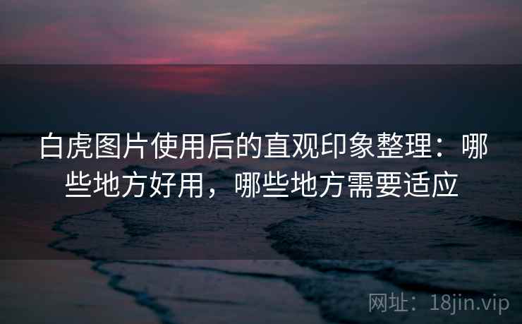 白虎图片使用后的直观印象整理：哪些地方好用，哪些地方需要适应