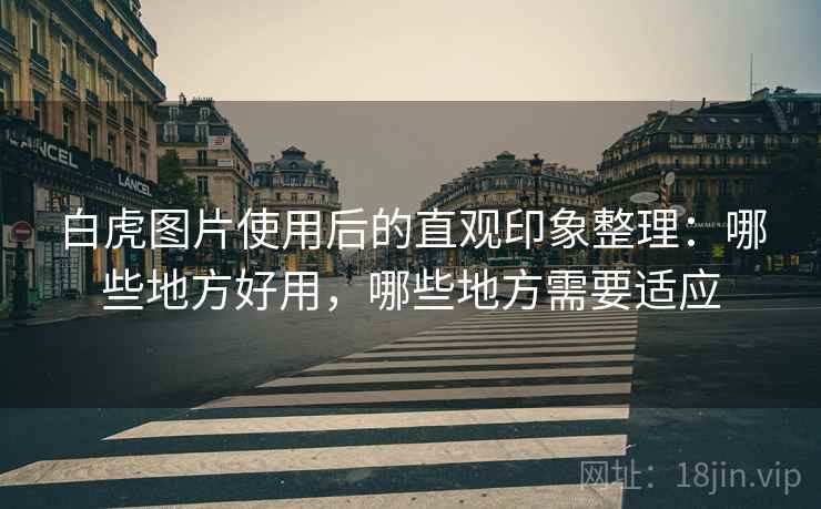 白虎图片使用后的直观印象整理：哪些地方好用，哪些地方需要适应