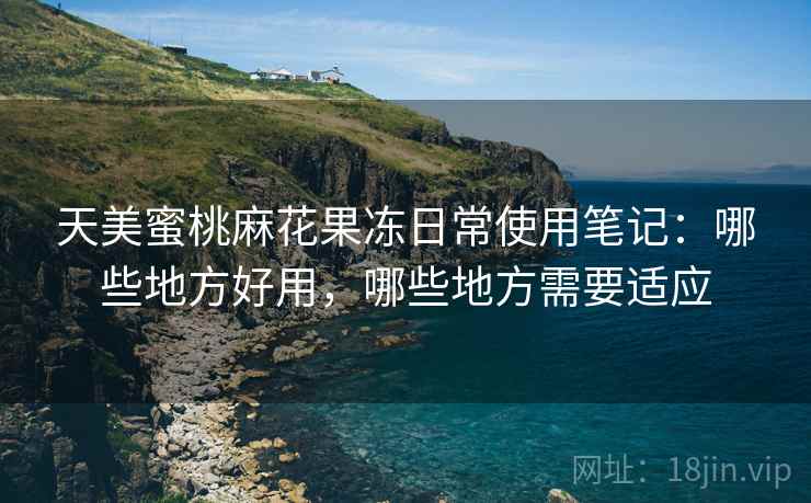 天美蜜桃麻花果冻日常使用笔记：哪些地方好用，哪些地方需要适应