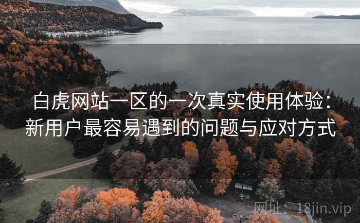 白虎网站一区的一次真实使用体验:新用户最容易遇到的问题与应对方式