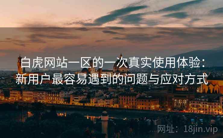 白虎网站一区的一次真实使用体验:新用户最容易遇到的问题与应对方式