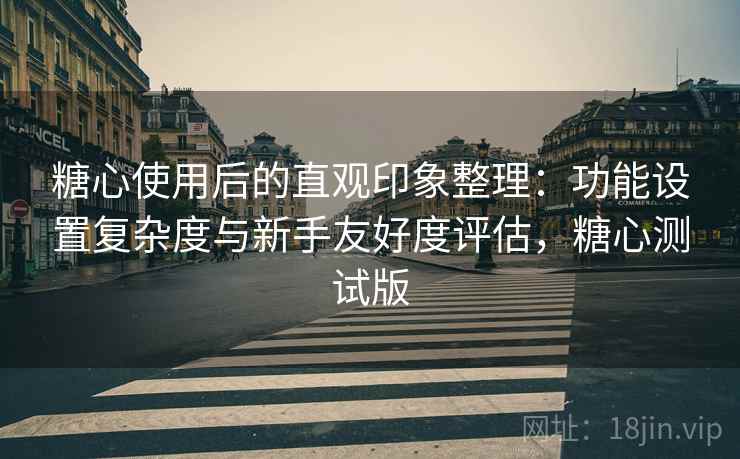 糖心使用后的直观印象整理:功能设置复杂度与新手友好度评估,糖心测试版