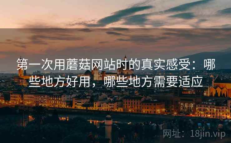 第一次用蘑菇网站时的真实感受:哪些地方好用,哪些地方需要适应