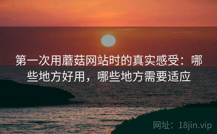 第一次用蘑菇网站时的真实感受:哪些地方好用,哪些地方需要适应