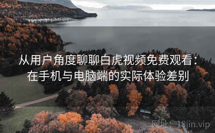 从用户角度聊聊白虎视频免费观看:在手机与电脑端的实际体验差别