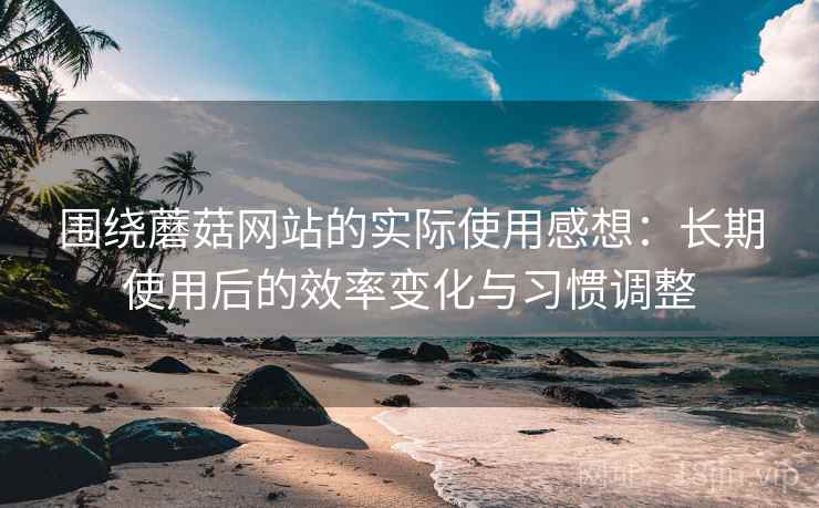 围绕蘑菇网站的实际使用感想:长期使用后的效率变化与习惯调整