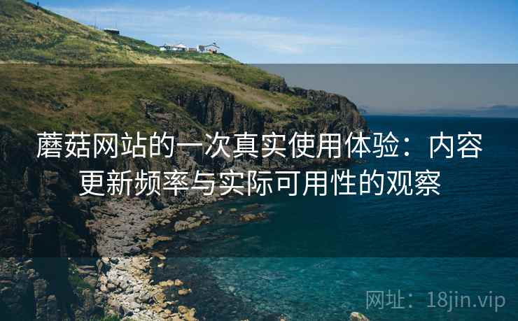 蘑菇网站的一次真实使用体验：内容更新频率与实际可用性的观察