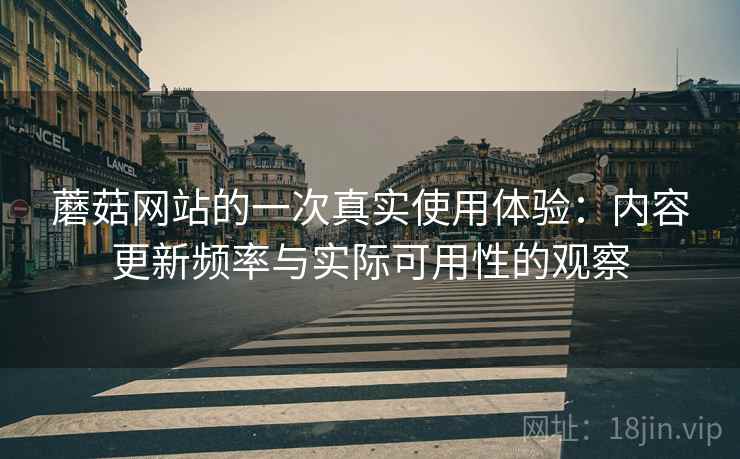 蘑菇网站的一次真实使用体验：内容更新频率与实际可用性的观察