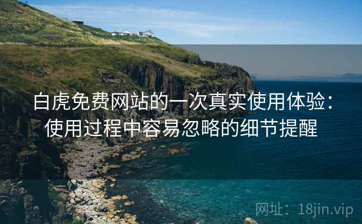 白虎免费网站的一次真实使用体验：使用过程中容易忽略的细节提醒