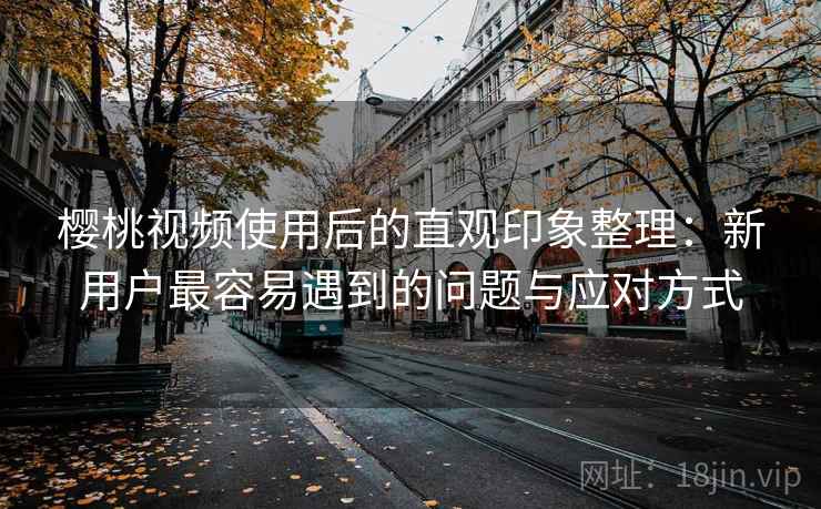 樱桃视频使用后的直观印象整理:新用户最容易遇到的问题与应对方式