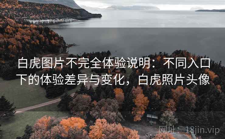 白虎图片不完全体验说明:不同入口下的体验差异与变化,白虎照片头像