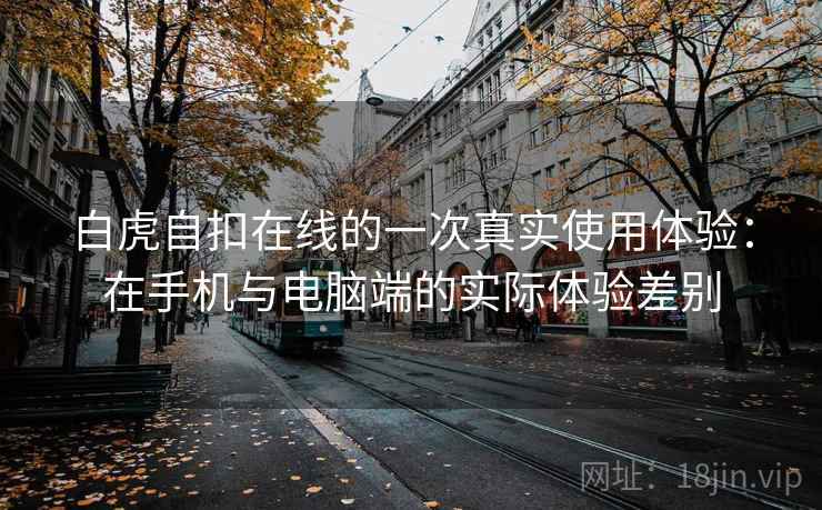 白虎自扣在线的一次真实使用体验：在手机与电脑端的实际体验差别